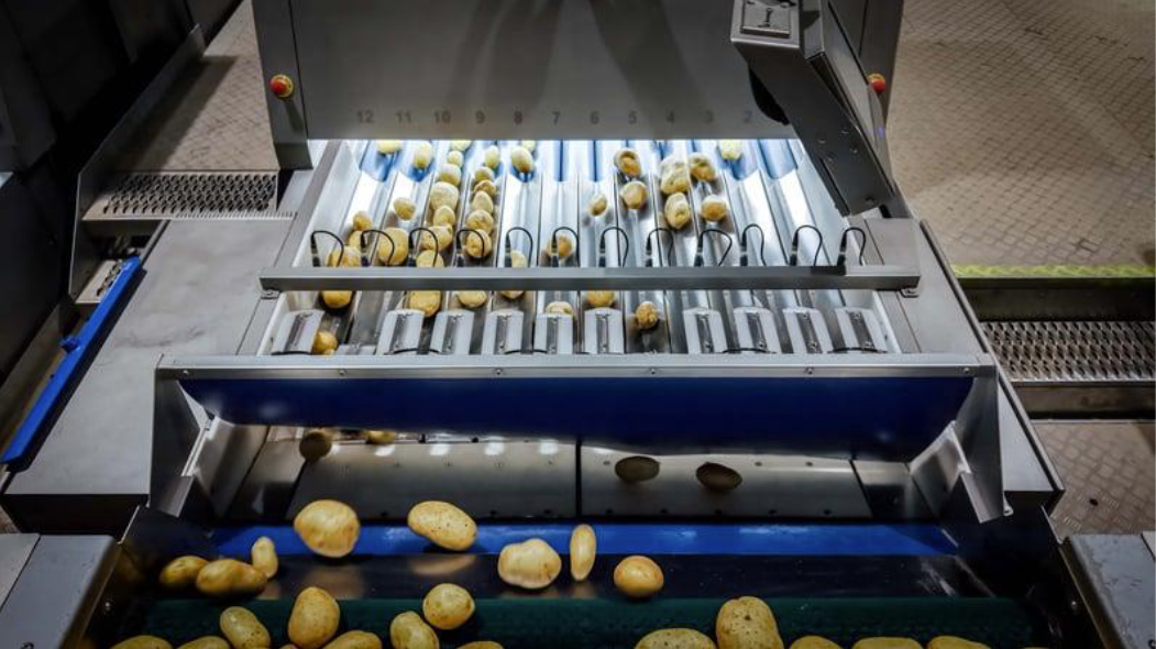 Potato Processing Explained Img1