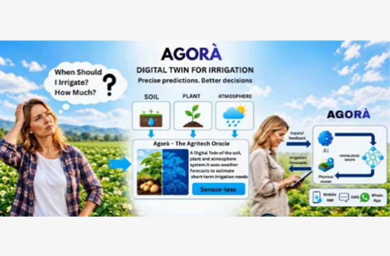 Potato Irrigation
